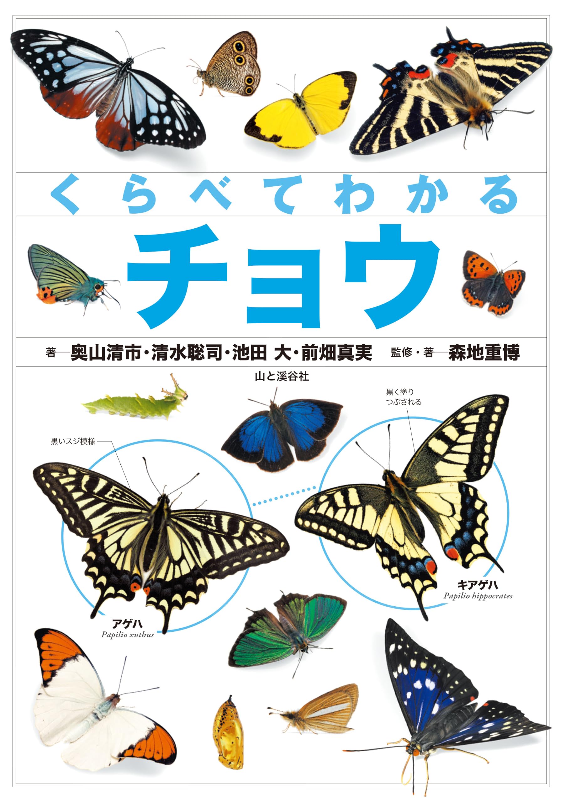 くらべてわかるチョウ | 奥山 清市, 清水 聡司, 池田 大, 前畑 真実